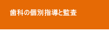 歯科の個別指導と監査 歯科の個別指導と監査